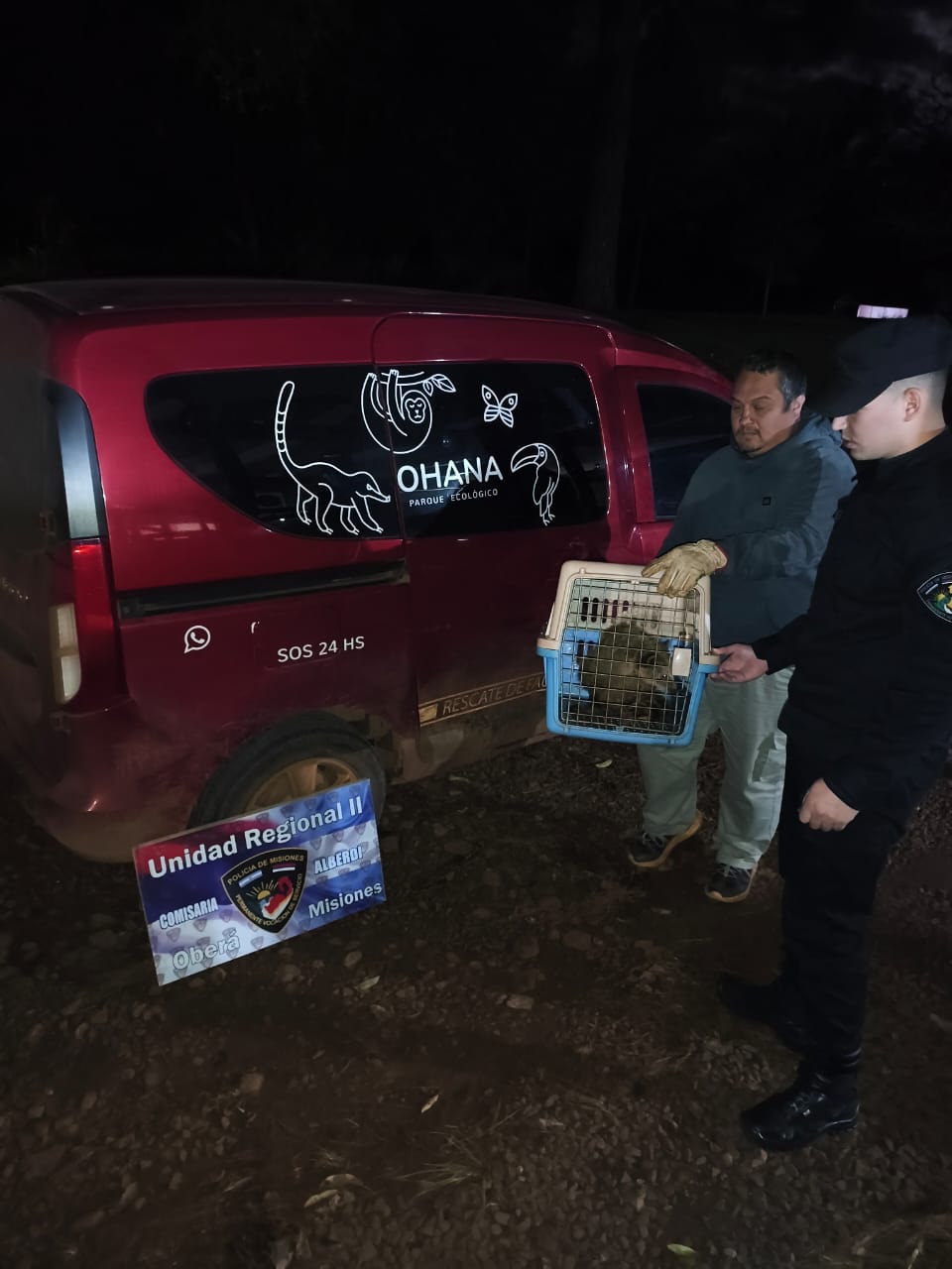 Tenía una soga al cuello y vivía como mascota: rescataron a un coatí en Oberá 3